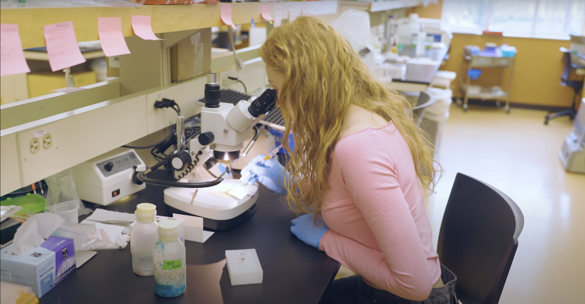 A woman with long hair, wearing a pink top and blue gloves, is seated at a lab bench using a microscope. The lab is well-lit, with various scientific equipment and supplies on the counter. Sticky notes are visible above her.